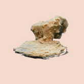 Moss Me Lip Scrub